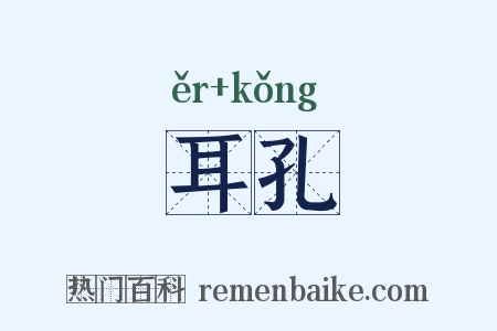 耳孔是什么意思的图片
